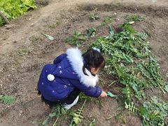 -前小桔亲子创意农场·草莓采摘·露营烧烤