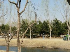 -东郊湿地公园