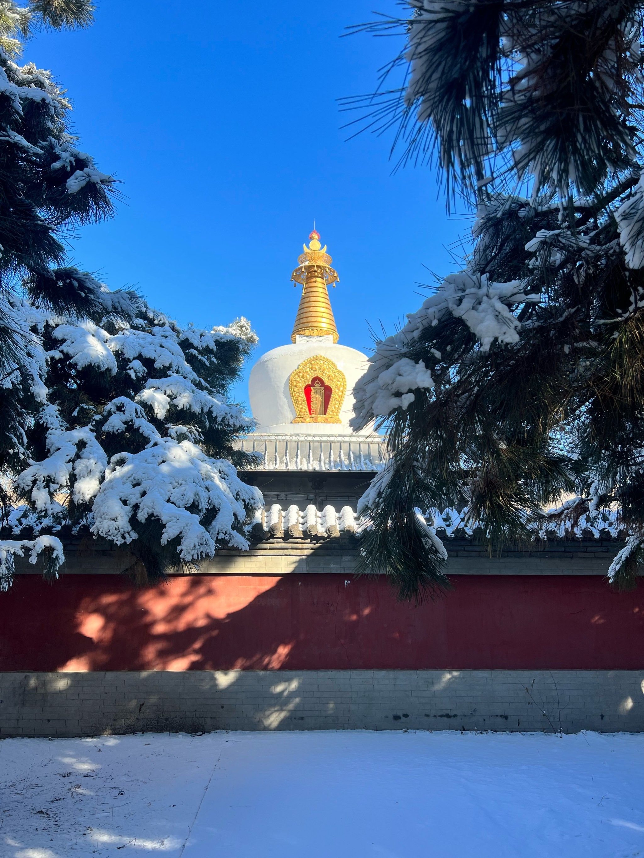 沈阳北塔护国寺之一年四季之美