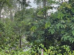 -新加坡飞禽公园