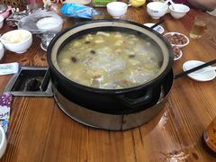 -15年老字号鑫鑫猪肚鸡·椰子鸡海南火锅(兴隆华侨农场店)