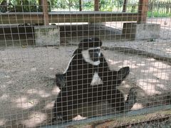 -海南热带野生动植物园