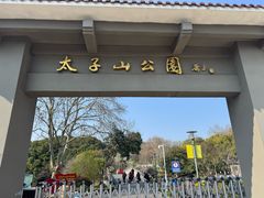 -太子山公园(园东路)
