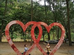 -南宁良凤江国家森林公园