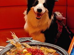 -探鱼·鲜青椒爽麻烤鱼(正佳广场店)