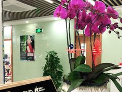 -茂菊口腔连锁(浦东南路店)