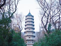 -灵谷景区