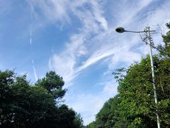 -铁山坪森林公园