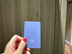 -汉庭(合肥火车南站北广场店)