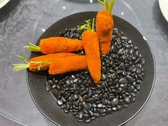 -丁老爷子苏香圆
