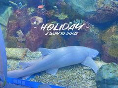 -顺德南宏海立方海洋公园