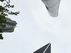 -上海柏悦酒店·世纪100牛排馆