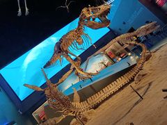 -贝林大翅鲸简餐厅(国家海洋博物馆店)