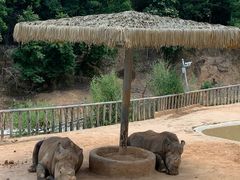 -泉州海丝野生动物世界