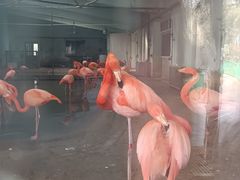 -石家庄市动物园