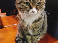 -延成苑韩式烤肉店(长春道店)