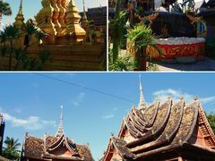 -西双版纳傣族园