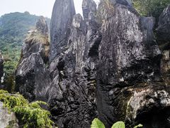 -玉石林风景区