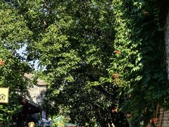 -回龙窝历史文化街区