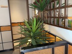 -吕氏焗小鲜•海鲜青岛菜(八大关店)
