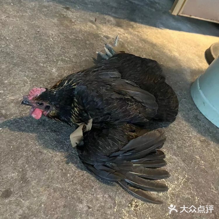 宁乡周边适合休闲娱乐的庭院餐厅