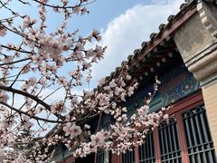 -天津盘山风景名胜区