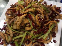 干煸鱿鱼须-大眼锅贴水饺(河东店)