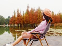 -白鹭湾湿地公园