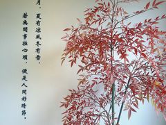 -小茶闲舍·观景商务茶馆(广州塔店)