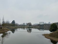 -眉山湿地公园(东坡区)