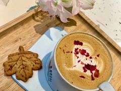 -Tomacado花厨(One ITC店)