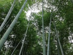 -陶祖圣境风景区