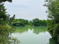 -西溪国家湿地公园