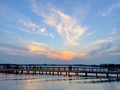 -鹅湖玫瑰文化园