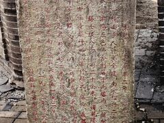 -上海佘山国家森林公园天马山园