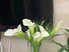 -花生FM_FLOWERS