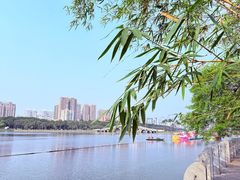 -南宁南湖公园