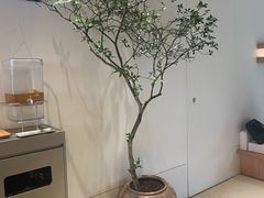 -喜茶(广州番禺奥园广场店)