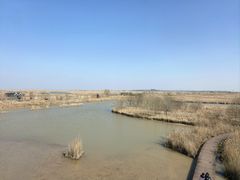 -盐城丹顶鹤湿地生态旅游区