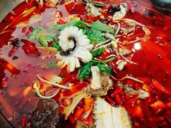 -重庆乌鱼庄·龙滋鲜(青羊大道店)