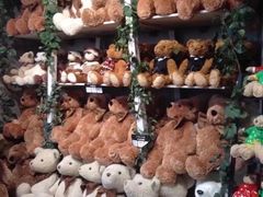 -济州岛泰迪熊博物馆