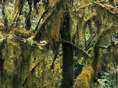 -西岭雪山大飞水景区