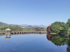-西昌邛海湿地