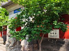 -红螺寺