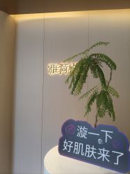 -雅荷悦来双美