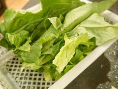 油麦菜-湘肠香火锅店(团结湖店)