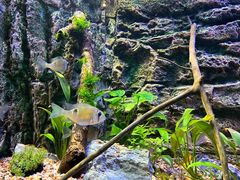 -上海海洋水族馆