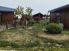 -阳光海岸露营公园