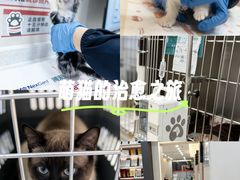 -御宝贝24h宠物医院·转诊中心·CT核磁血透中心(厦门总院)