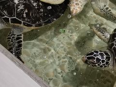 -常州海昌海洋探索馆